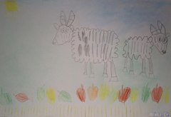 gallery_2_286_66724.jpg