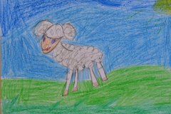 gallery_2_286_66912.jpg
