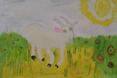 gallery_2_286_72672.jpg