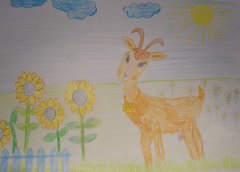 gallery_2_286_784381.jpg