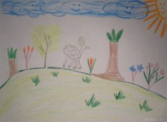gallery_2_286_82257.jpg