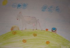 gallery_2_286_88630.jpg