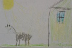 gallery_2_286_97455.jpg