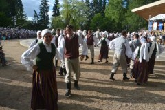 gallery_2_324_104309.jpg