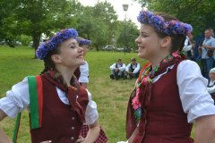 gallery_2_324_98052.jpg