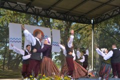 gallery_1369_364_23012.jpg