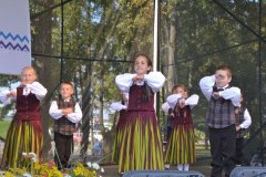 gallery_1369_364_36125.jpg
