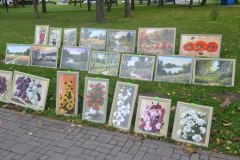gallery_1369_364_62049.jpg