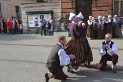 gallery_1369_364_79433.jpg