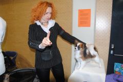 gallery_2_41_113891.jpg