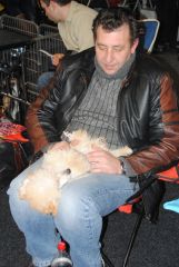 gallery_2_41_143633.jpg