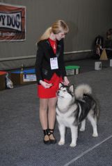 gallery_2_41_35213.jpg
