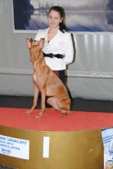 gallery_2_41_6341.jpg