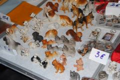 gallery_2_41_77559.jpg