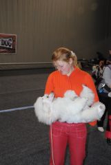 gallery_2_41_94196.jpg