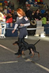 gallery_1382_429_52316.jpg