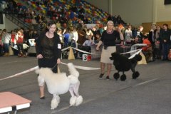 gallery_1382_429_60225.jpg