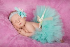 gallery_1382_459_35864.jpg