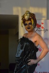 gallery_1405_462_32216.jpg