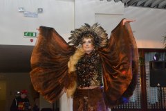 gallery_1405_462_3517.jpg