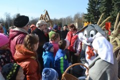 gallery_1382_468_32471.jpg