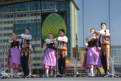 gallery_1382_468_40983.jpg