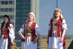 gallery_1382_468_58758.jpg