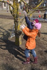 gallery_1369_469_131334.jpg
