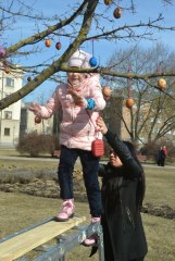 gallery_1369_469_52532.jpg
