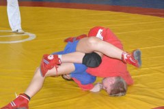 gallery_1369_476_7069.jpg