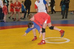 gallery_1369_476_97236.jpg