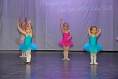 gallery_889_54_64952.jpg