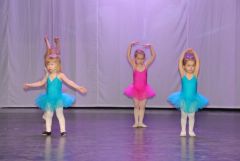 gallery_889_54_73837.jpg