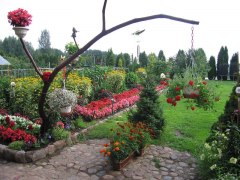 gallery_1369_544_445.jpg