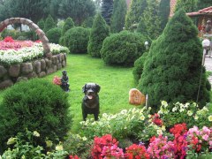 gallery_1369_544_58315.jpg
