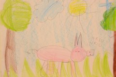 gallery_1369_577_225385.jpg