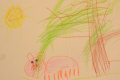 gallery_1369_577_2295419.jpg
