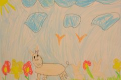 gallery_1369_577_2326631.jpg
