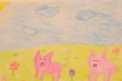 gallery_1369_577_3102156.jpg