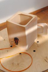 gallery_2_86_26387.jpg