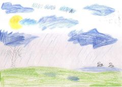 gallery_889_96_366096.jpg