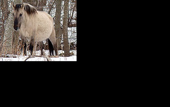 ���������� ������