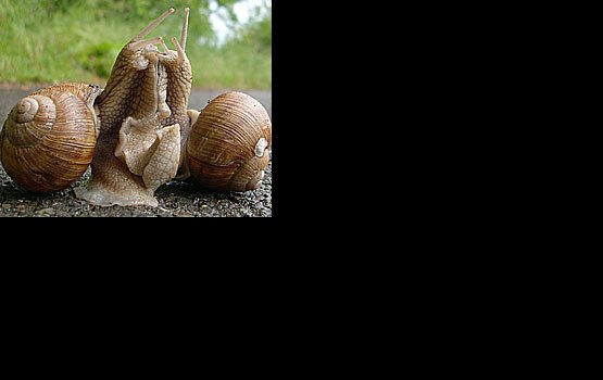 ������ �� ������