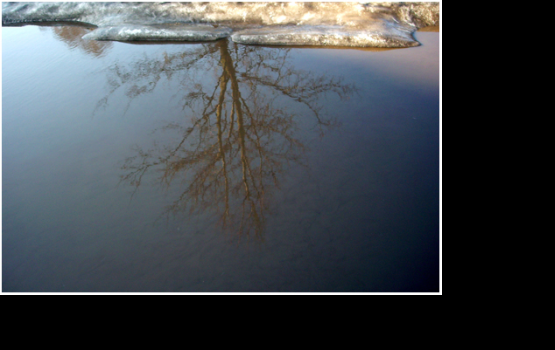 ������� ���� � ������� ����� �������� ������������ � ����������� �������