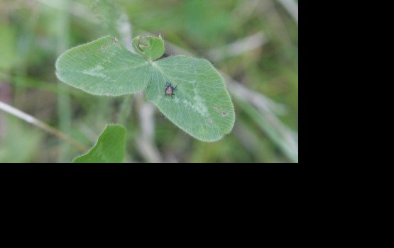 � ������� ��������� ������ ��������� ������