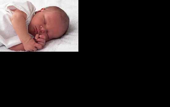 ������� ���������� ������ ������ �������� ��������