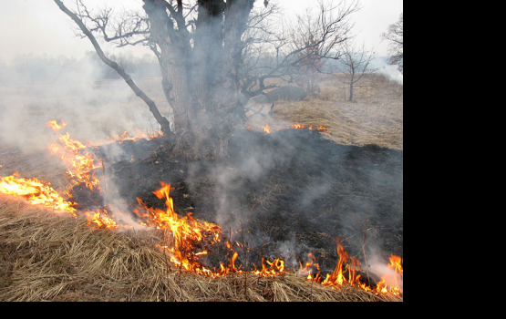 � �������� ������� �������� ��������������� �����