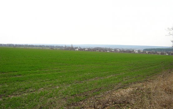 ������ ����� �������� � ����