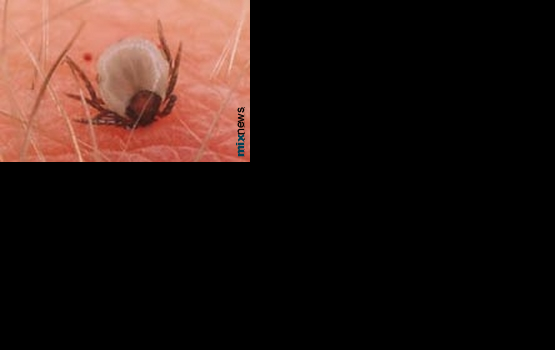 ���: 9,4% ������ �������� �����������