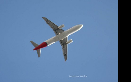 ���� ������ �������